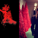Illustration for article titled A Man Coughed Up Melanias Christmas Tree
